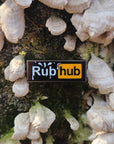 Rub Hub Porn Hub Parody Kinked Sex Kinky Enamel Pin Hat Pin Lapel Pin Brooch Badge Festival Pin