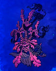 Ethereal Seahorse V1 Sea Creature Psychedelic Art Enamel Pins Hat Pins Lapel Pin Brooch Badge Festival Pin