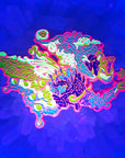 Lion Elephant Snake Cloud Creature V3 Lex Newtho Archangel Trippy Psychedelic Art 3D Enamel Pins Hat Pins Lapel Pin Brooch Badge Festival Pin