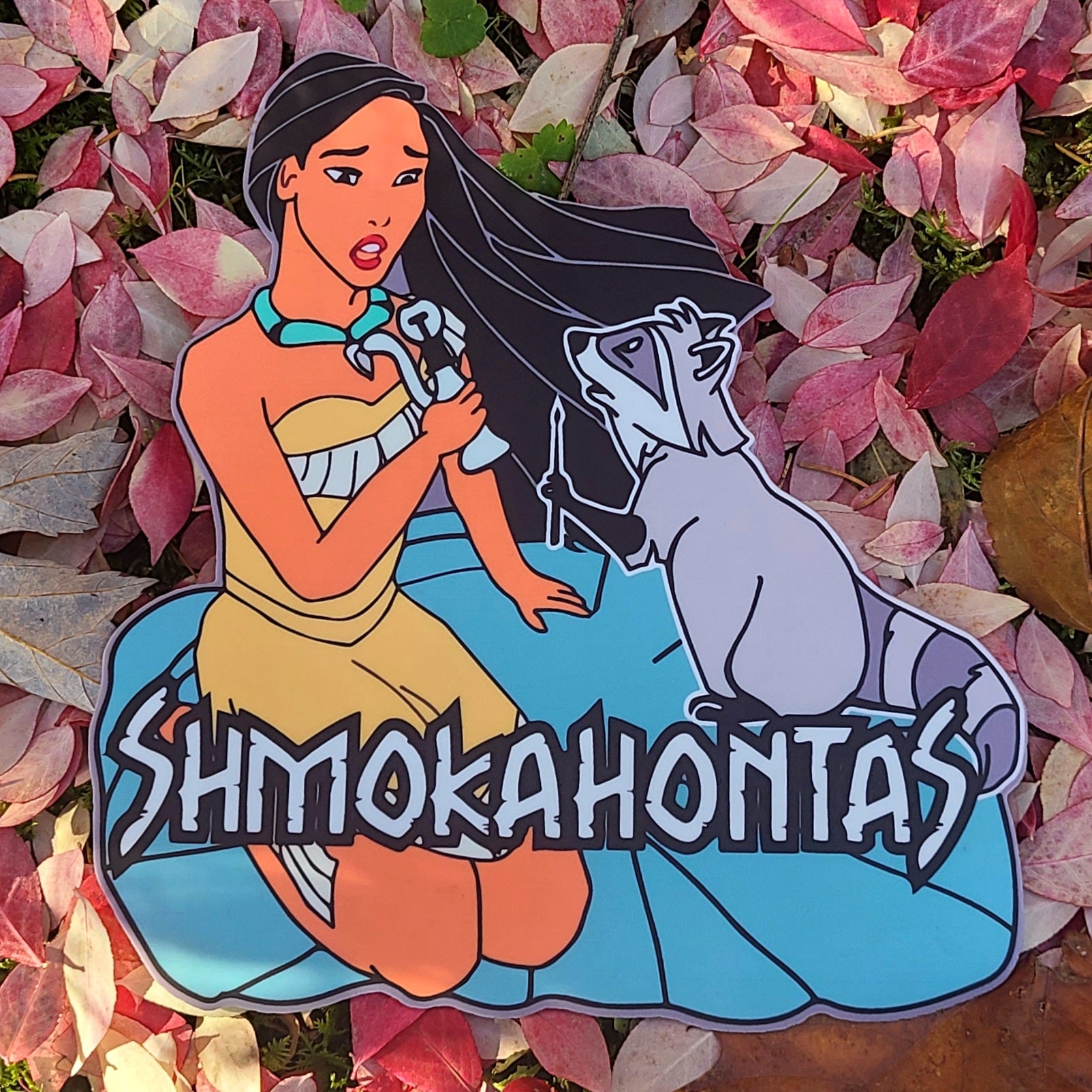 Shmokahontas & Meeko Stoner Crew Raccoon 90s Cartoon Princess Dabs Dab ...