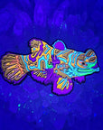 Mandarin Fish Psychedelic Nature Art Trippy Nautical Ocean Animal Enamel Pins Hat Pins Lapel Pin Brooch Badge Festival Pin