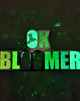 Ok Bloomer Okay Boomer Hummingbird V5 Glow Enamel Pins Hat Pins Lapel Pin Brooch Badge Festival Pin
