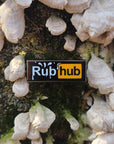 Rub Hub Porn Hub Parody Kinked Sex Kinky Enamel Hat Pin